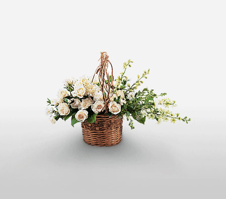 Sistine Chapel-White,Rose,Carnation,Arrangement,Basket