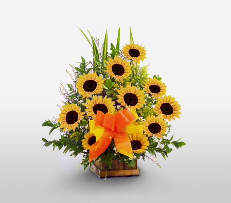 Salsa Dazzle - Sunflowers Arrangement-Yellow,SunFlower,Arrangement