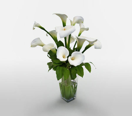 Serene White Lilies-White,Lily,Arrangement