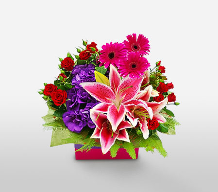 Mixed Arrangement-Mixed,Pink,Purple,Red,Daisy,Gerbera,Lily,Mixed Flower,Rose,Arrangement