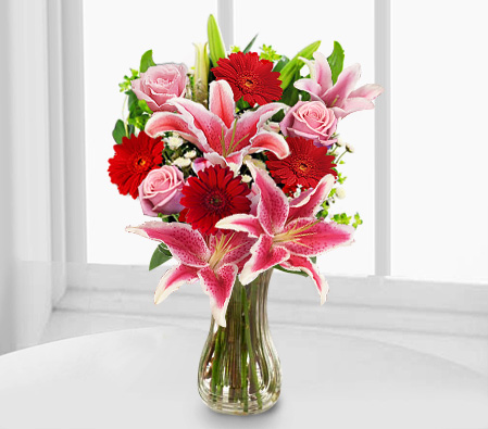 Modern Muse-Mixed,Pink,Red,Daisy,Gerbera,Iris,Mixed Flower,Rose,Arrangement