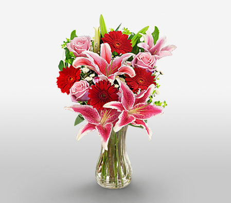 Amusing Spell-Mixed,Pink,Red,Daisy,Gerbera,Iris,Mixed Flower,Rose,Arrangement