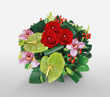 Grace-Green,Mixed,Pink,Red,Anthuriums,Mixed Flower,Orchid,Rose,Arrangement