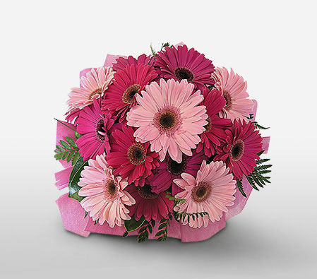 Deseo Imperial-Pink,Daisy,Gerbera,Bouquet