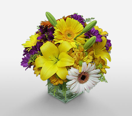 Colourful Dreams-Blue,Mixed,Purple,Violet,White,Yellow,Daisy,Gerbera,Lily,Mixed Flower,Bouquet