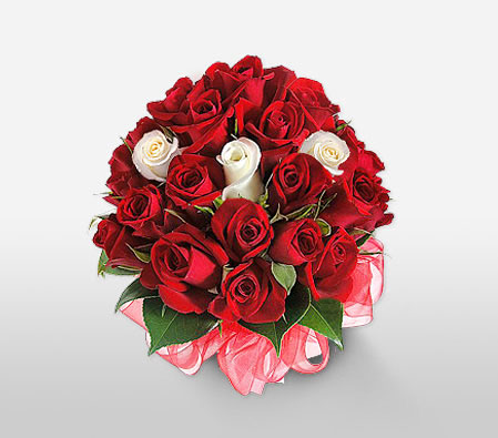 Gift Of Love-Red,White,Rose