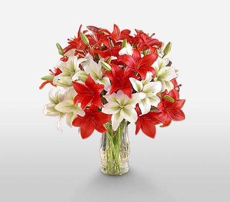 Pearly Titians-Red,White,Lily,Bouquet