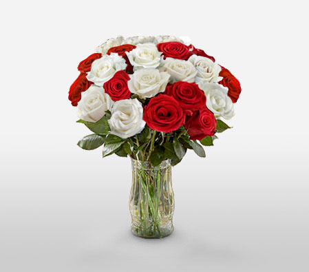 Ruddy Roses-Red,White,Rose,Arrangement