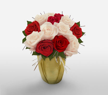 Christmas Blush Roses-Red,White,Rose,Bouquet