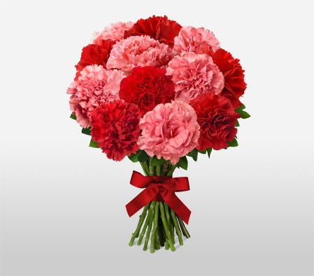 Double Up<Br><span>Red and Pink Carnation Bouquet</span>