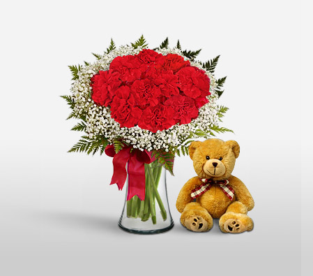 Bella Sweetheart - Red Carnations + Teddy-Red,Carnation,Bouquet