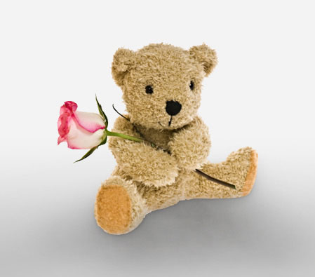 Be Mine-Pink,Rose,Teddy,Bouquet