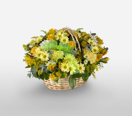 Golden Gauteng-Green,Mixed,White,Yellow,Alstroemeria,Carnation,Daisy,Gerbera,Mixed Flower,Rose,Arrangement