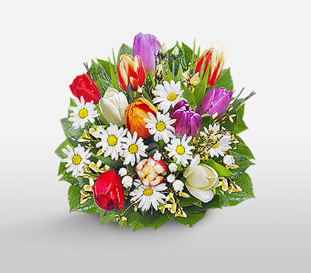 Daisies And Tulips-Mixed,Orange,Purple,Red,White,Daisy,Tulip,Bouquet