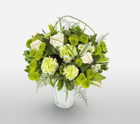 Franschhoek Fancy-Green,White,Carnation,Rose,Arrangement