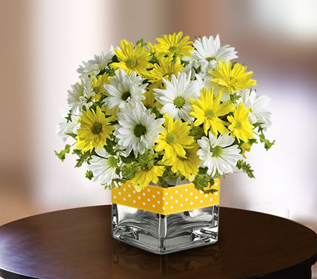 Good Morning Sunshine-White,Yellow,Daisy,Gerbera,Bouquet