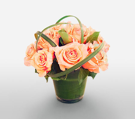 6 Peach Roses-Peach,Rose,Arrangement