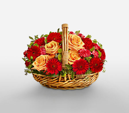 Brilliant Floral Basket-Mixed,Orange,Red,Carnation,Gerbera,Mixed Flower,Rose,Arrangement,Basket