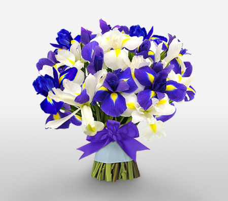 Spectacular Ocean-Blue,White,Iris,Bouquet