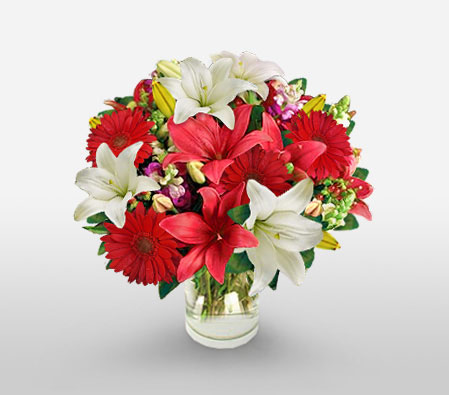 Festive Lilies-Red,White,Daisy,Gerbera,Lily,Bouquet