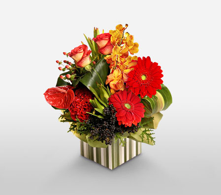 Magic Box-Peach,Red,Yellow,Anthuriums,Carnation,Daisy,Gerbera,Mixed Flower,Orchid,Rose,Arrangement
