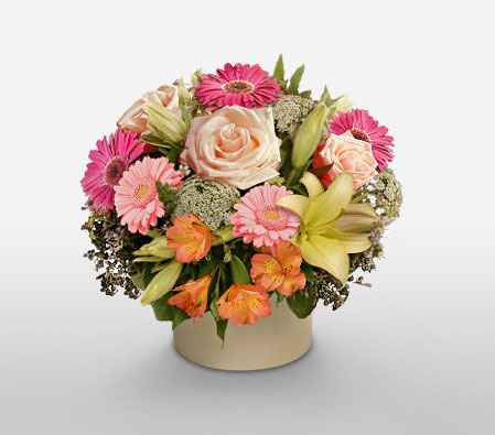 Cosmo-Mixed,Pink,Alstroemeria,Gerbera,Lily,Mixed Flower,Rose,Arrangement
