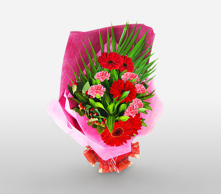 Delight-Pink,Red,Carnation,Gerbera,Bouquet