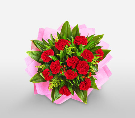 Carnation Adoration-Pink,Red,Carnation,Arrangement