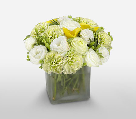 Subtly Elegant-Green,Mixed,White,Carnation,Mixed Flower,Rose,Arrangement