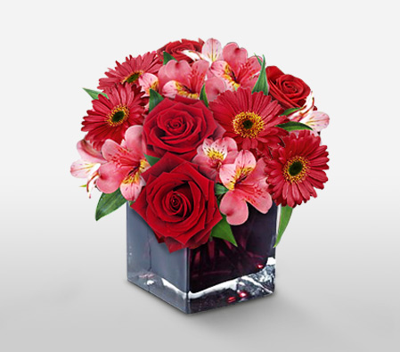 Sparkle Her Day-Pink,Red,Rose,Mixed Flower,Gerbera,Alstroemeria,Arrangement