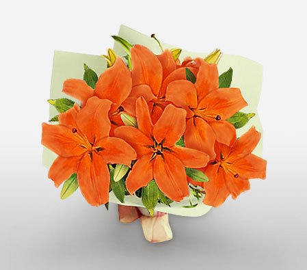 Coral Blush-Orange,Lily,Bouquet