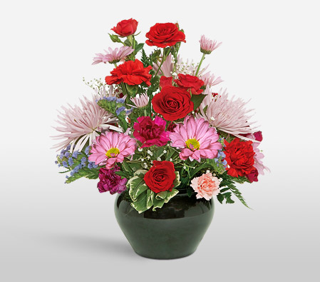Pretty Palette-Mixed,Pink,Red,Carnation,Gerbera,Mixed Flower,Rose,Arrangement