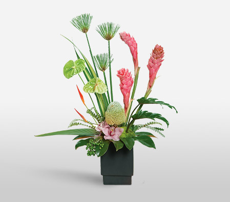 Hawaain Fantasy-Green,Mixed,Pink,Anthuriums,Mixed Flower,Orchid,Arrangement,Plant