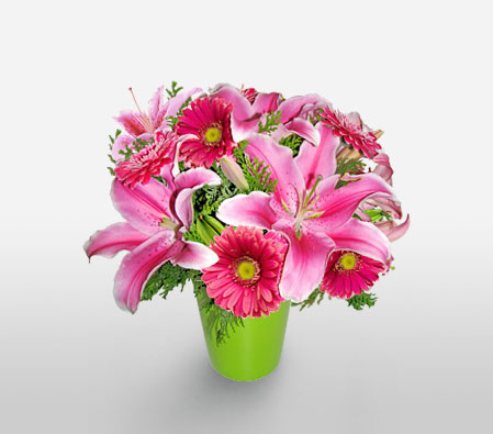 Palo Alto-Pink,Gerbera,Lily,Mixed Flower,Arrangement