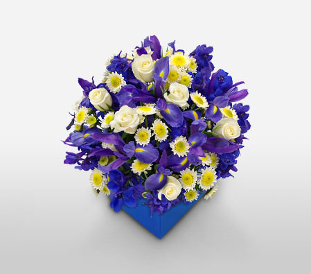 Baby Boy Blue-Blue,Mixed,Yellow,Daisy,Iris,Mixed Flower,Arrangement