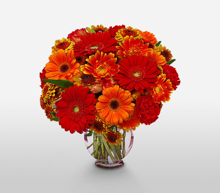 Sydney Sunset - Fresh Gerberas-Orange,Red,Chrysanthemum,Daisy,Gerbera,Arrangement