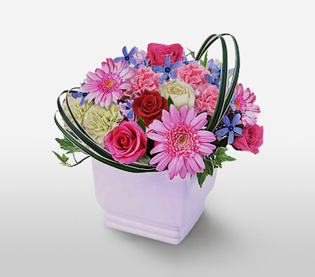 Mixed Flowers In Vase-Blue,Mixed,Pink,Red,White,Carnation,Daisy,Gerbera,Mixed Flower,Rose,Arrangement