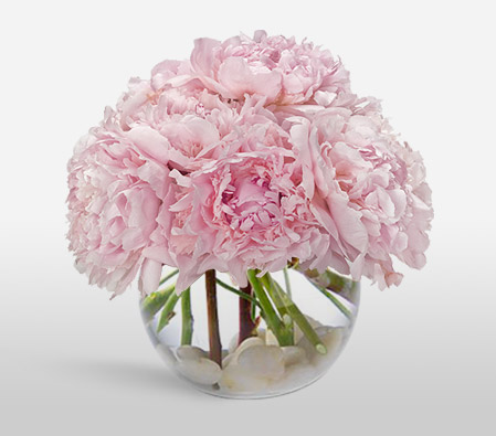 Precious Peonies-Pink,Mixed Flower,Arrangement