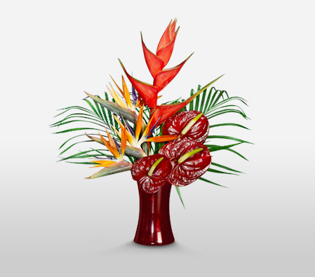 Paradiso <Br><span>Complimentary Ruby Vase </span>