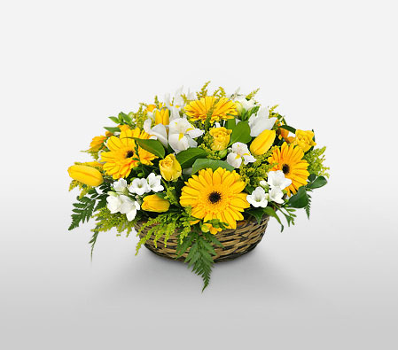 Sultry Glow-White,Yellow,Daisy,Gerbera,Rose,Basket