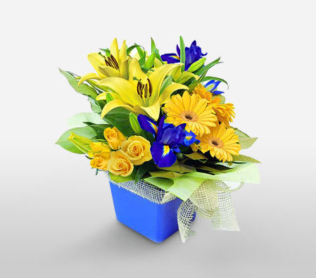 Vibrant Charms-Blue,Yellow,Daisy,Gerbera,Iris,Lily,Mixed Flower,Rose,Arrangement