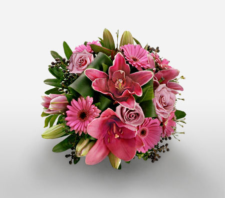 Dreamers Paradise-Pink,Daisy,Gerbera,Lily,Rose,Bouquet