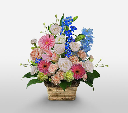 Yukashii Kyoui-Blue,Mixed,Peach,Pink,White,Carnation,Daisy,Gerbera,Rose,Bouquet