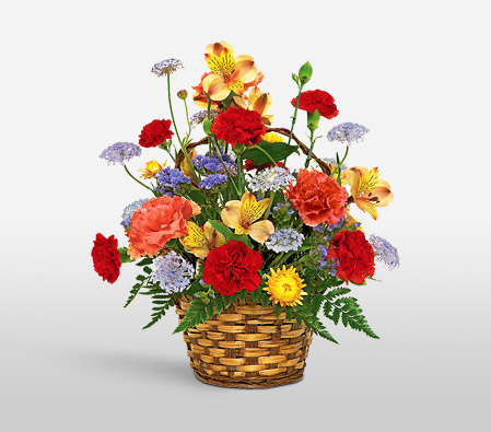 Carnival Of Color-Mixed,Purple,Red,Yellow,Alstroemeria,Carnation,Mixed Flower,Arrangement,Basket