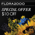 Flora2000 
